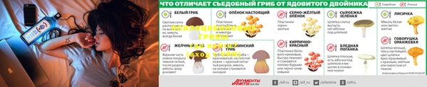 каннабис Алзамай