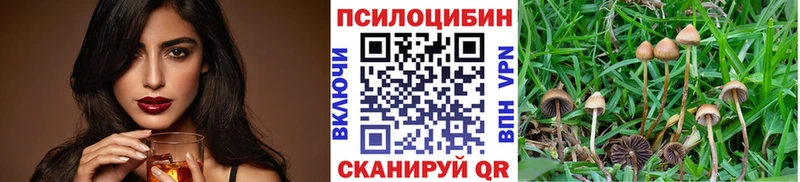 продажа наркотиков  площадка клад  Галлюциногенные грибы прущие грибы  Александровское  кракен зеркало 